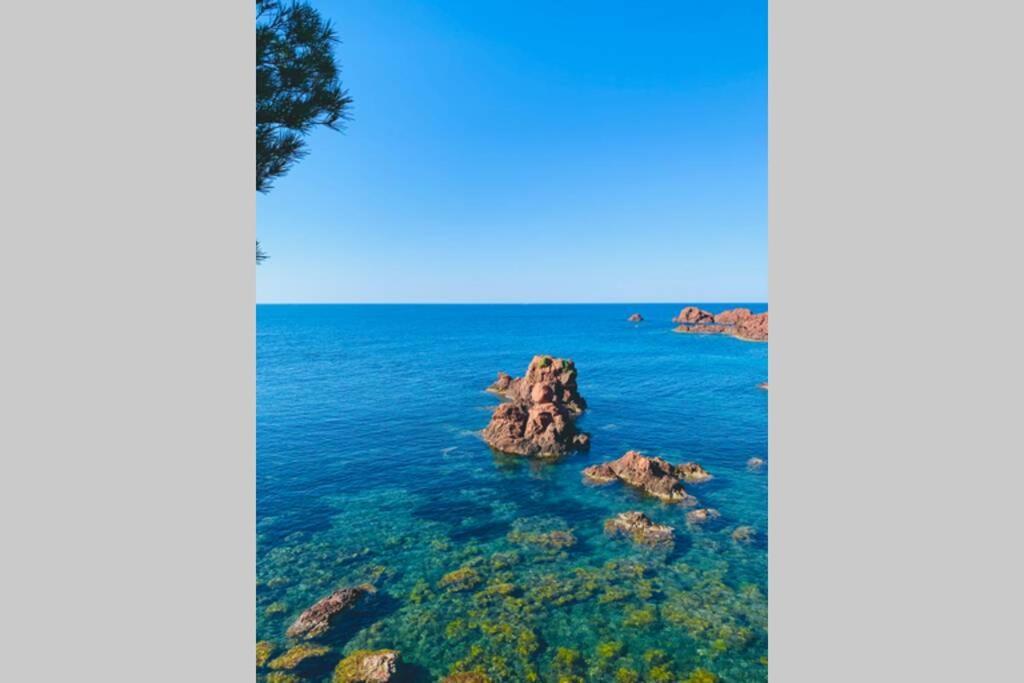 Superbe 4 Couchages Avec Terrasse - Clim - 50M De La Mer Saint-Raphaël Екстериор снимка