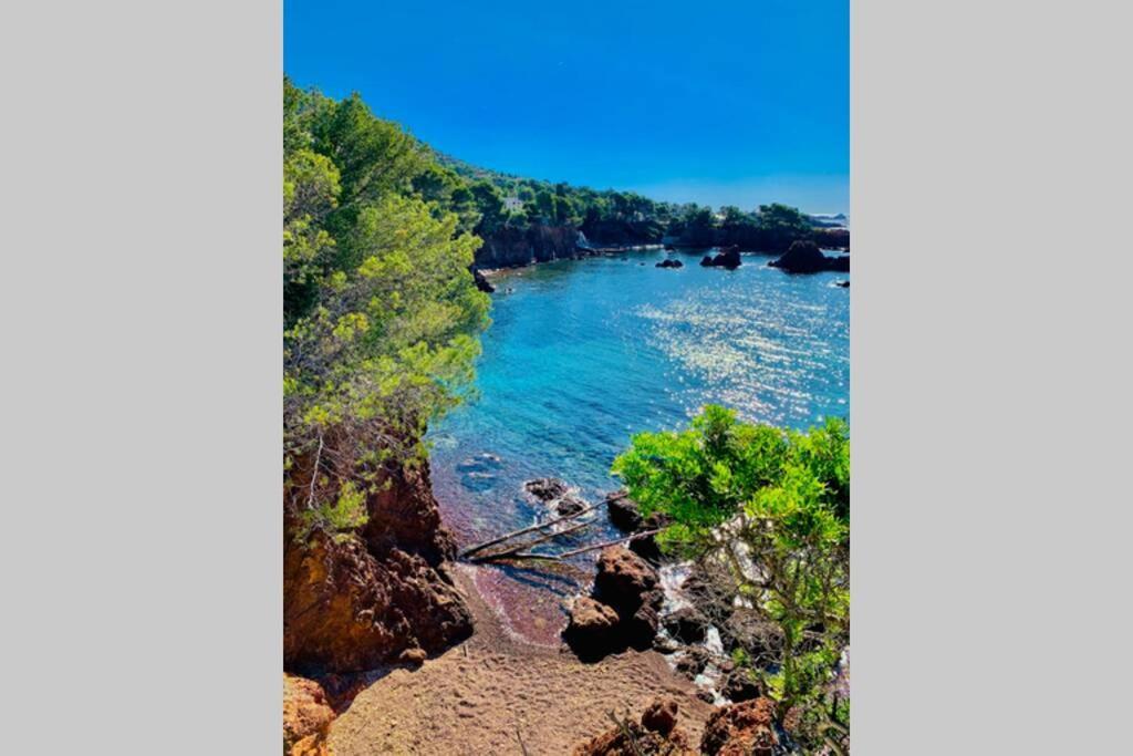 Superbe 4 Couchages Avec Terrasse - Clim - 50M De La Mer Saint-Raphaël Екстериор снимка