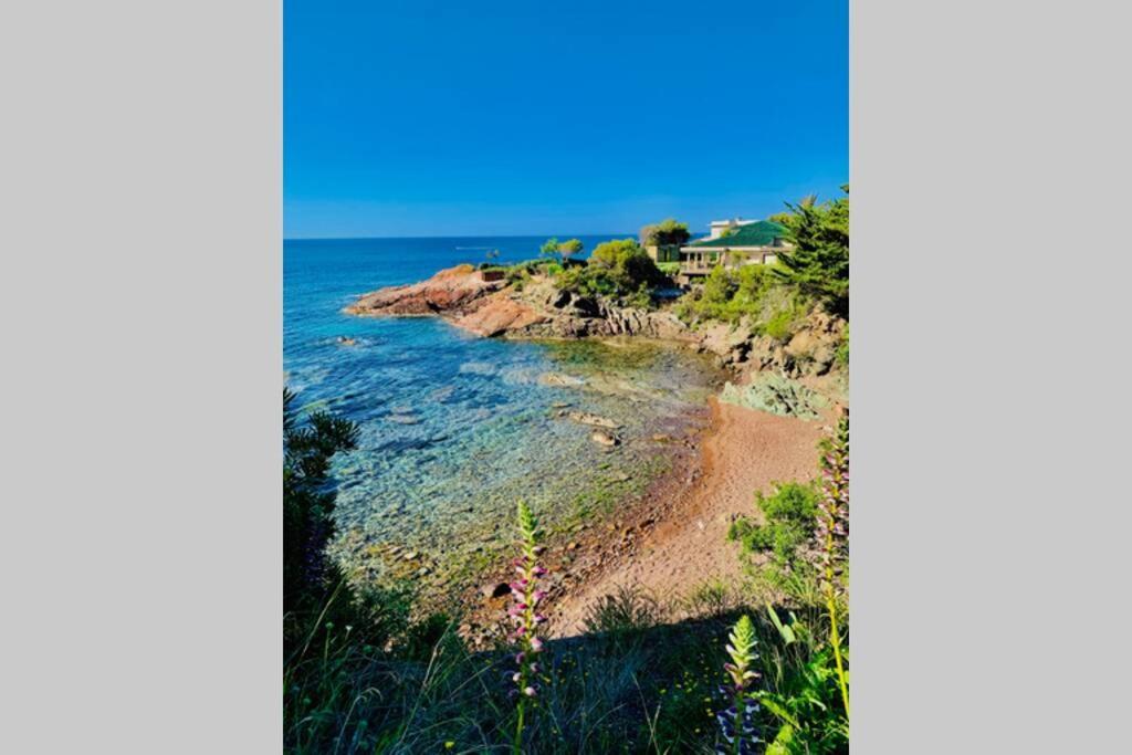 Superbe 4 Couchages Avec Terrasse - Clim - 50M De La Mer Saint-Raphaël Екстериор снимка