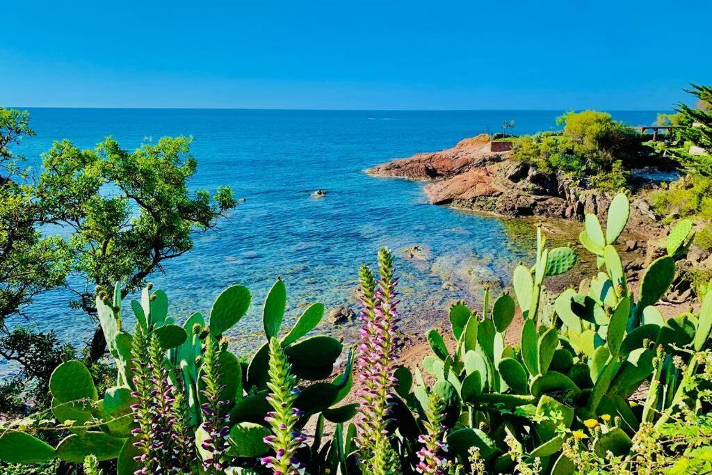 Superbe 4 Couchages Avec Terrasse - Clim - 50M De La Mer Saint-Raphaël Екстериор снимка