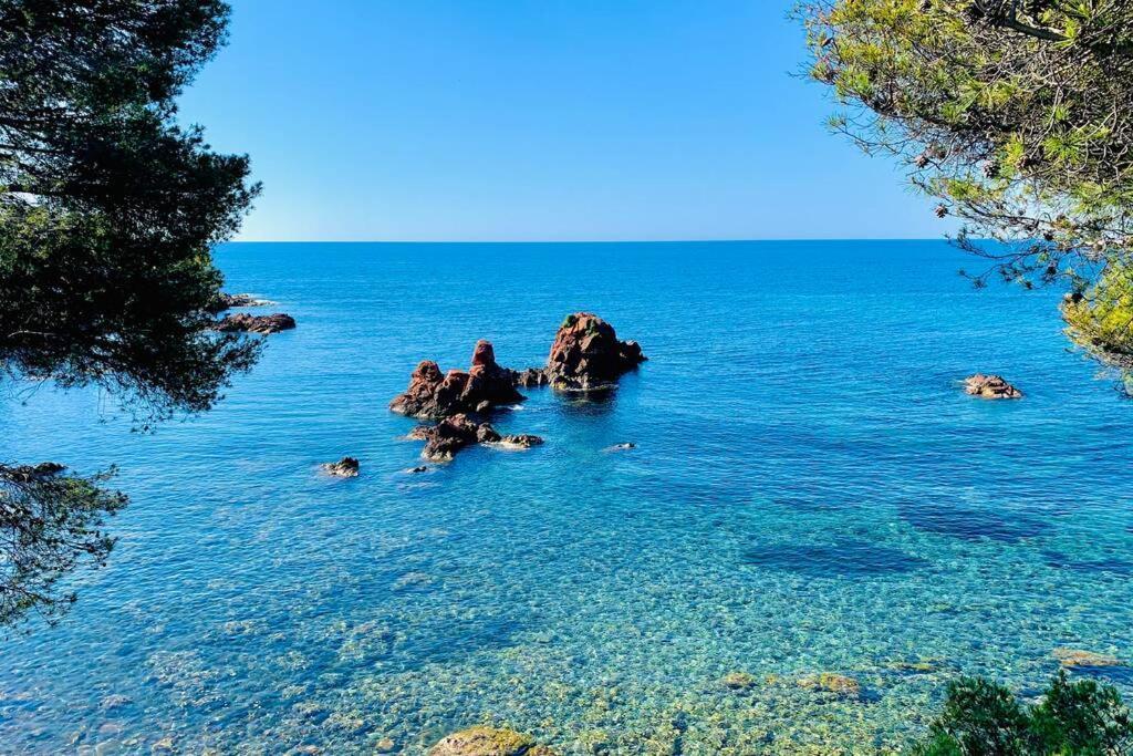 Superbe 4 Couchages Avec Terrasse - Clim - 50M De La Mer Saint-Raphaël Екстериор снимка